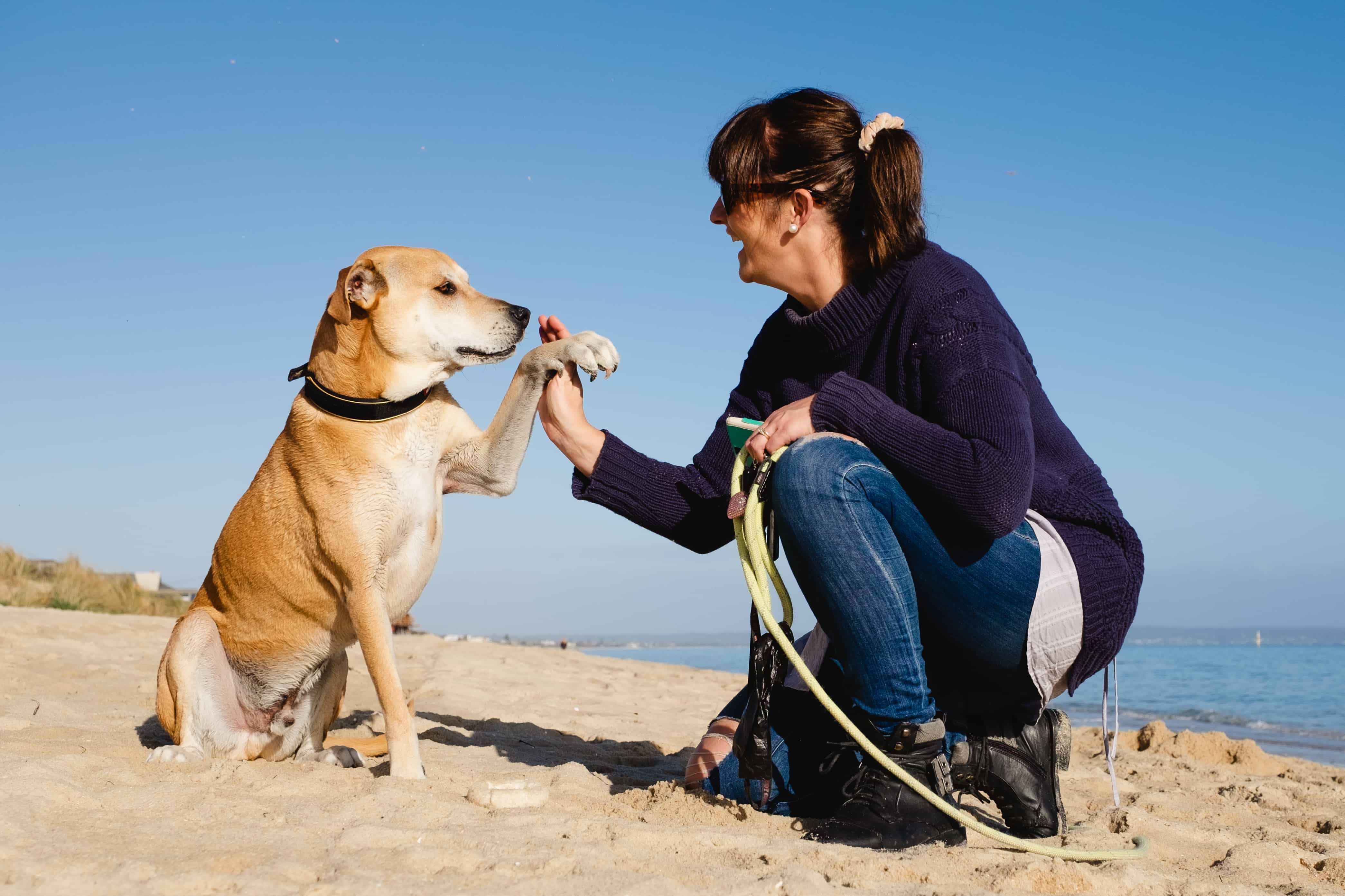 Dog owner with pet at the beach